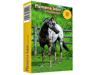 Kvarteto - Plemena koní